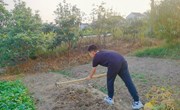 欢度国庆节 劳动展风采——朝前路实验学校初中部国庆假期劳动实践活动