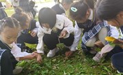 在“玩”中释放——朝前路实验学校小学部2025心理健康月活动