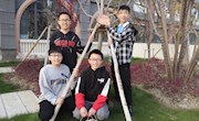 树牌行动 |　接力美好，让整个春天绿起来