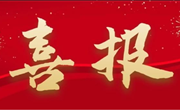 喜报：热烈祝贺我校9位教师荣获市、区级荣誉称号